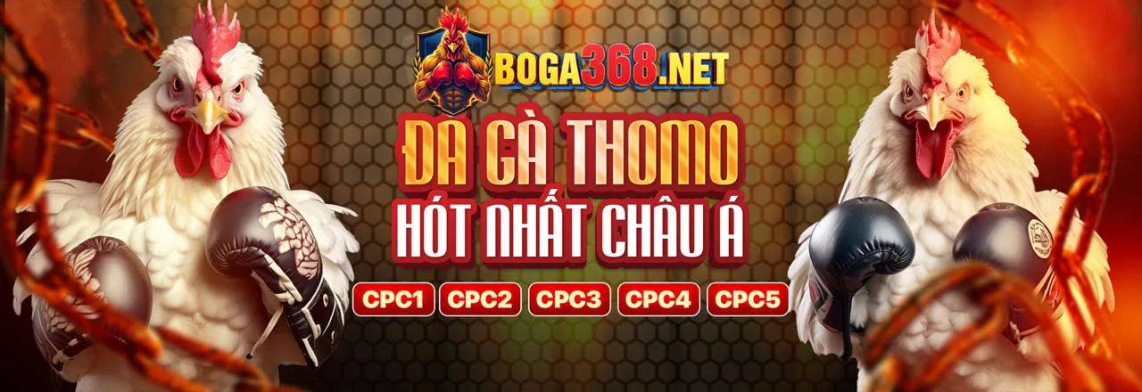 Đa dạng các trò chơi cá cược tại liên kết mới arne