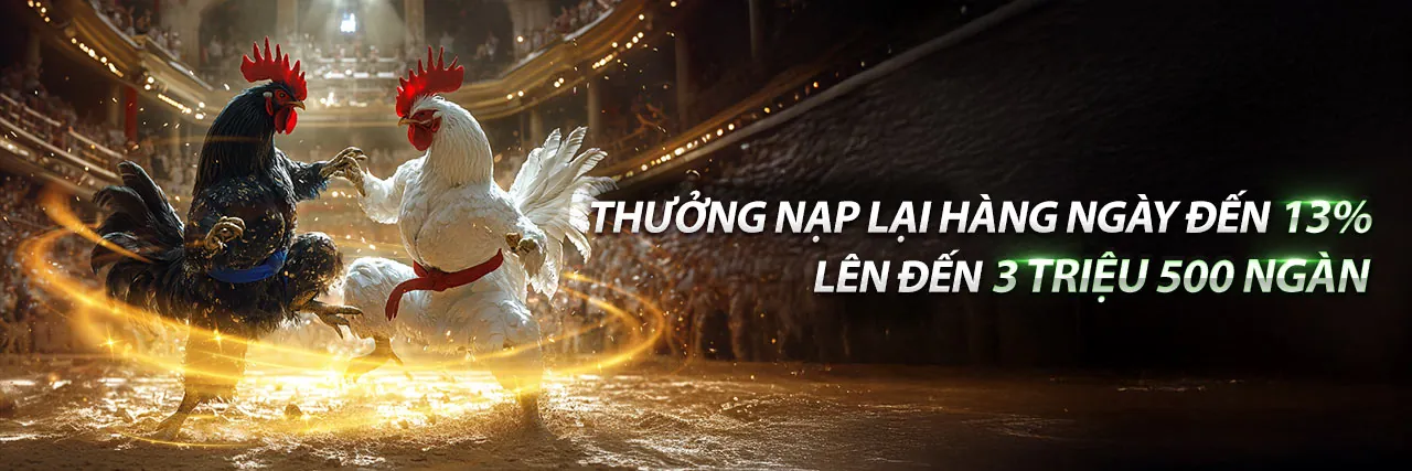 Sân vận động với ánh đèn rực rỡ và đám đông cổ vũ, biểu tượng của cá cược thể thao arne link mới